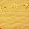 seashells on sand. sea summer vacation background