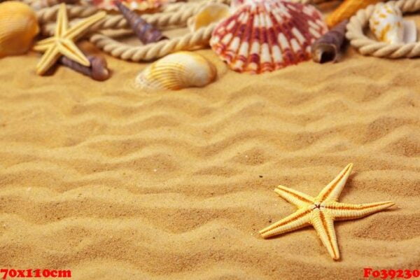 seashells on sand. sea summer vacation background