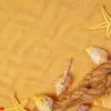 seashells on sand. sea summer vacation background