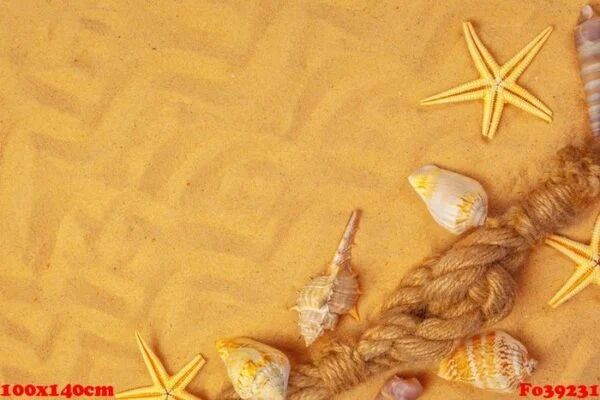 seashells on sand. sea summer vacation background