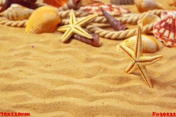 seashells on sand. sea summer vacation background