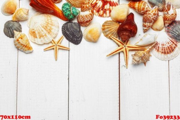 seashells on wooden background.