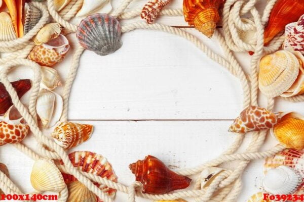 seashells on wooden background.