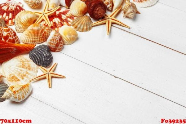 seashells on wooden background.