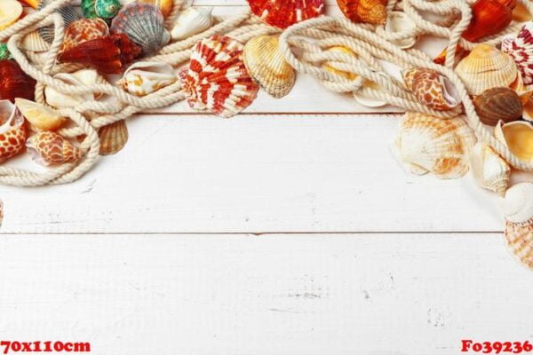 seashells on wooden background.