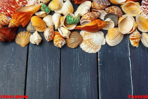 seashells on wooden background.