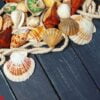 seashells on wooden background.