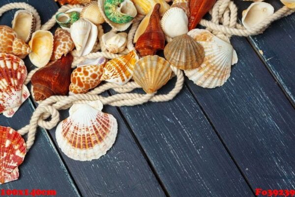 seashells on wooden background.