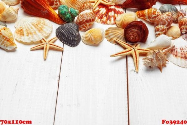 seashells on wooden background.