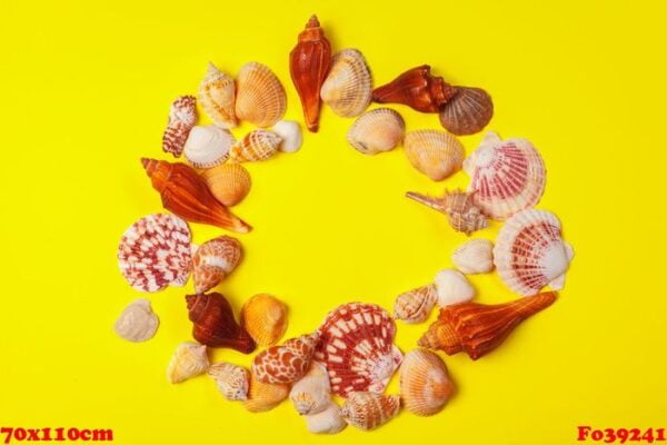 seashells on a yellow background.