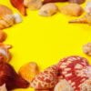 seashells on a yellow background.