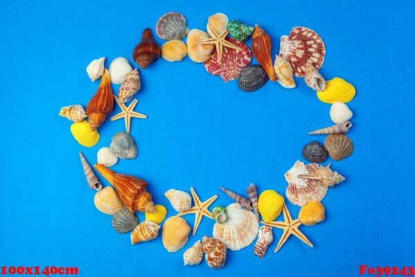 flat lay. top view. frame of shells of various kinds on a blue background.