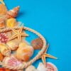 flat lay. top view. frame of shells of various kinds on a blue background.