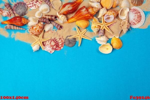 flat lay. top view. frame of shells of various kinds on a blue background.