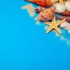 flat lay. top view. frame of shells of various kinds on a blue background.