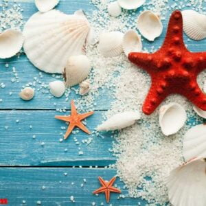 summer background red starfish and seashells on blue wooden background