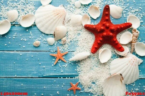 summer background red starfish and seashells on blue wooden background