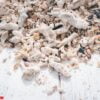 summer background,reef and sea shell on white wood table