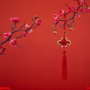 chinese new year's decoration for spring festival on red background