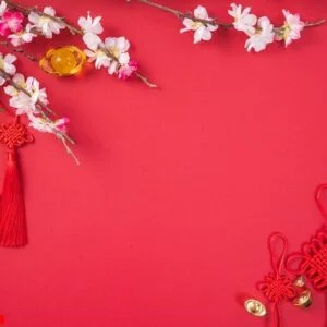 design concept of chinese lunar new year beautiful chinese knot with plum blossom isolated on red background, flat lay, top view, overhead layout.