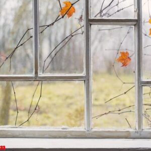 autumn landscape on old window