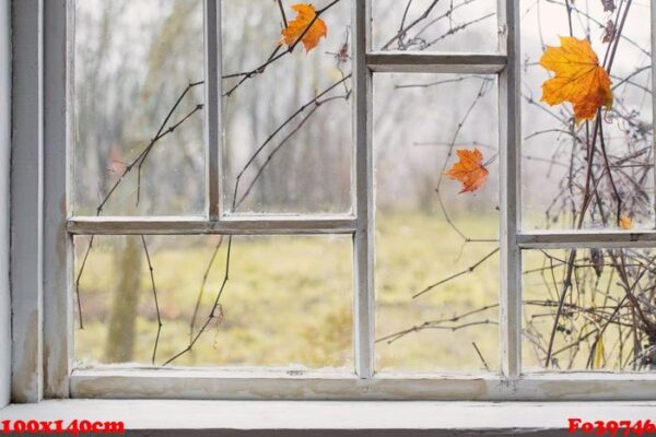 autumn landscape on old window