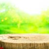 beautiful texture of old tree stump table top on blur fruit gard