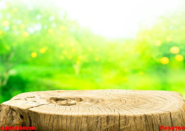 beautiful texture of old tree stump table top on blur fruit gard