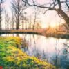 dawn on the river with grass on shore