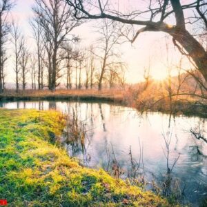 dawn on the river with grass on shore