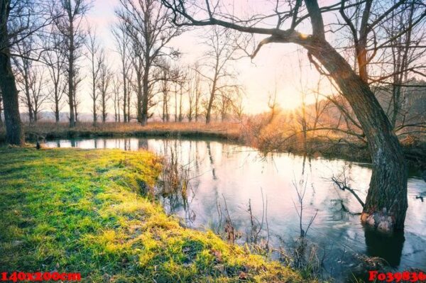 dawn on the river with grass on shore