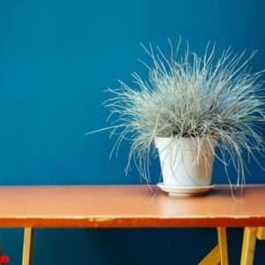 dried wheat vase wood table ryegrass raaigras grass flowerpot orange blue wall white gray wan design concept interior withered