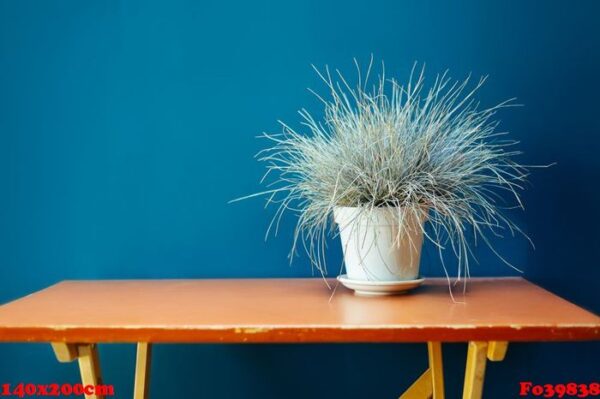 dried wheat vase wood table ryegrass raaigras grass flowerpot orange blue wall white gray wan design concept interior withered