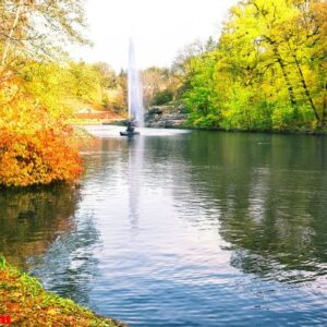 fountain in park with colorful trees