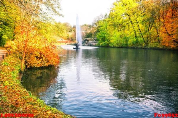 fountain in park with colorful trees