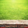 green grass and wooden plank summer background