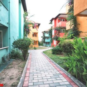 multicolored houses along paths