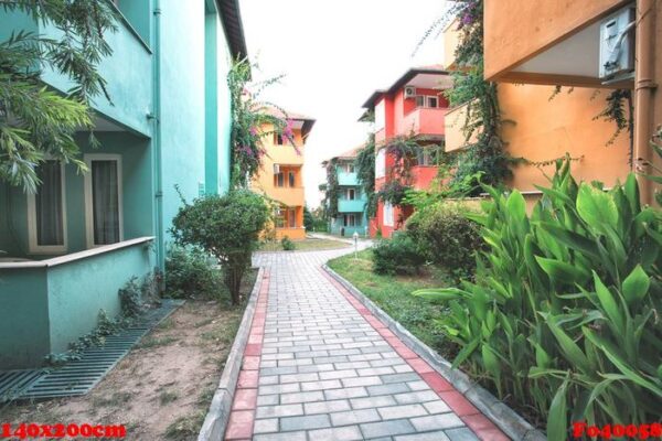 multicolored houses along paths