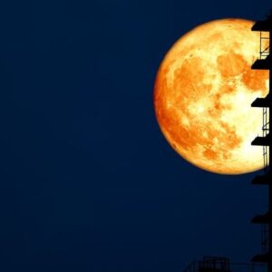 super harvest blood moon and silhouette building in the night sk