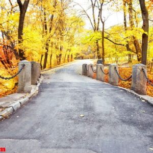 winding road with columns in the park