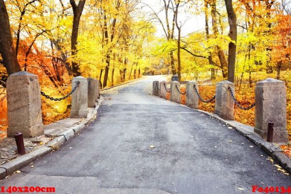 winding road with columns in the park