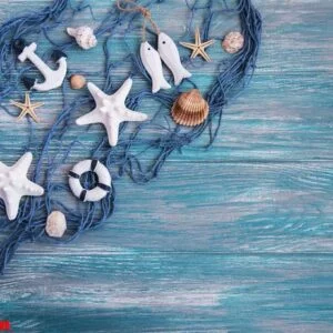 fishing net with starfish