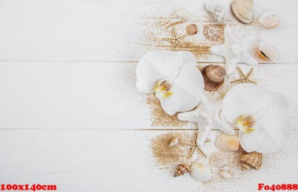 sea shells with sand and orchid flowers