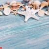 sea shells on a wooden table