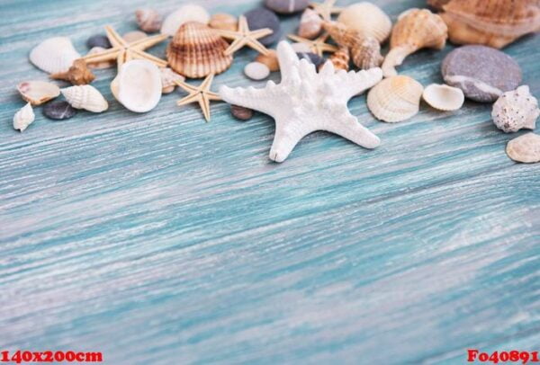 sea shells on a wooden table