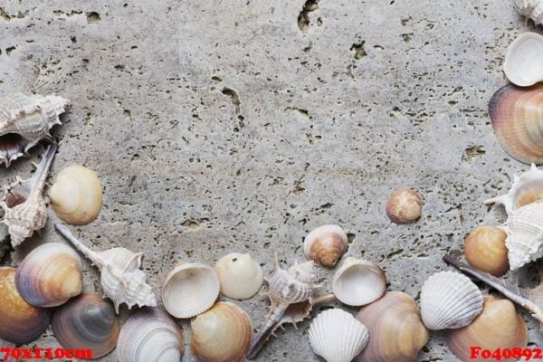 seashells on the light marble background