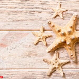 starfish, seashells on a wooden table, top view, flat lay with copy space