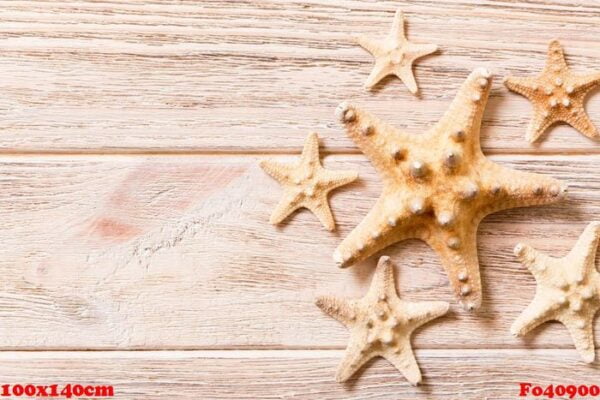 starfish, seashells on a wooden table, top view, flat lay with copy space