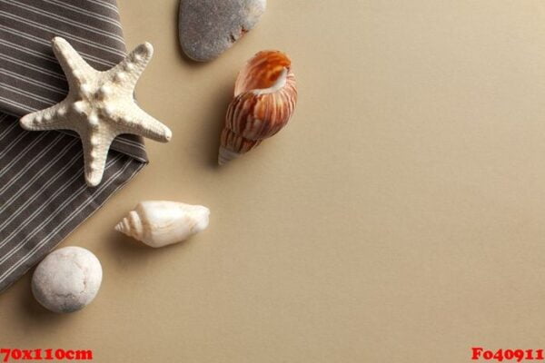 flatlay with starfish and shells on a color background. the concept of travel, vacation by the sea. copy space