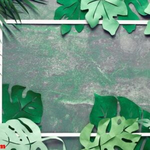 paper craft background, frame with exotic tropical leaves with text space on dark